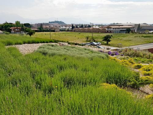 Green roof and view over the surrounding landscape